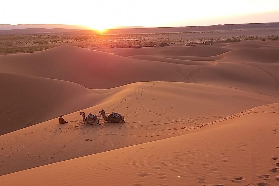 Marrakech Merzouga desert Tour 4 days