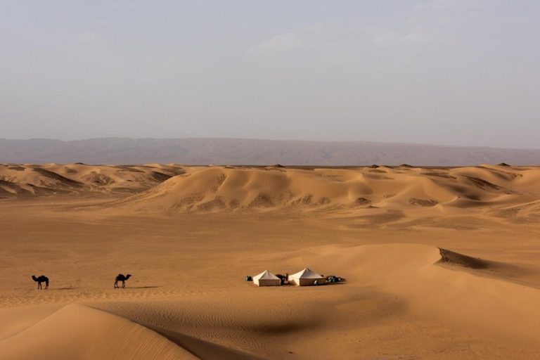 Marrakech chegaga dunes 3 days