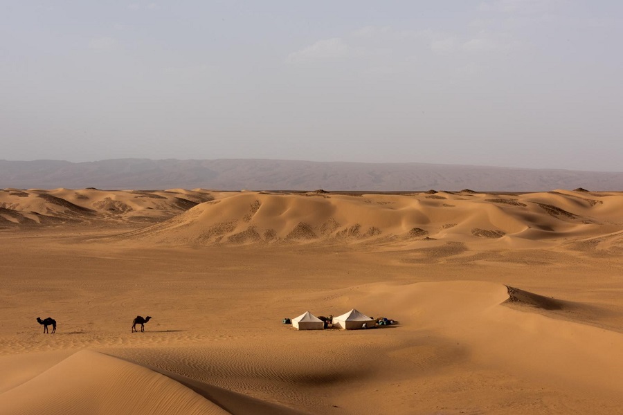 Marrakech chegaga dunes 3 days